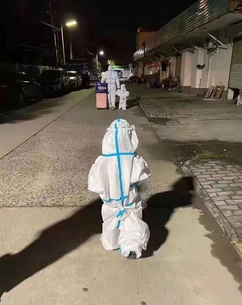 关于江苏省扬州市扬州经济技术开发区新增2例核酸阳性,从涉1省抵奉新县的信息