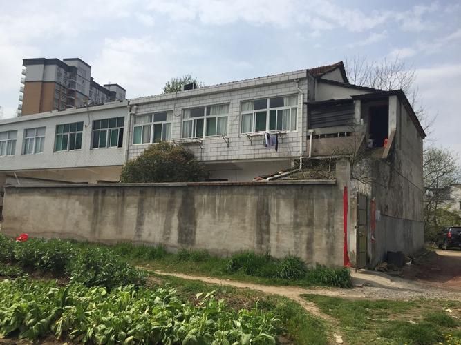 【舒城县境外输入已蔓延2地_舒城县确诊】