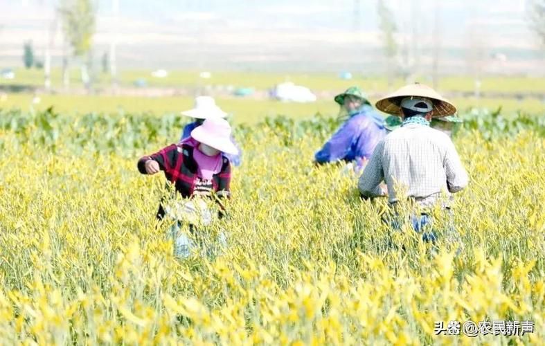 一张图看懂宁夏回族自治区吴忠盐池县近4天活动轨迹:吴忠盐池县2021年重大项目