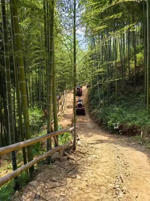 一张图看懂浙江湖州安吉县近期曲线图表/渐江省湖洲市安吉县