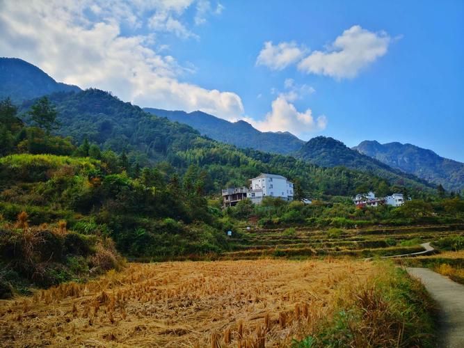 【石台县封城区核酸阳性详情,石台县疫情防控指挥部】