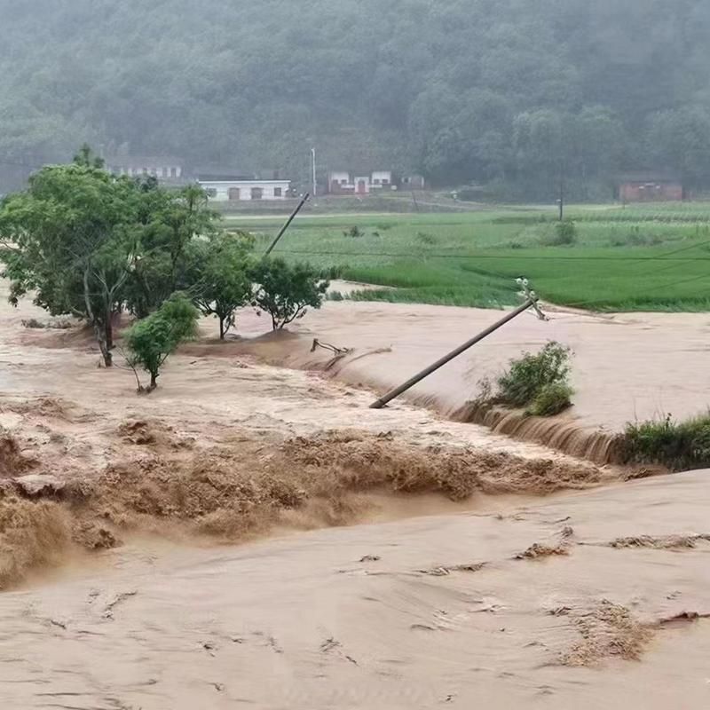 【福建省三明市清流县最新通告:所有人员足不出户,三明市清流县属于哪个省】