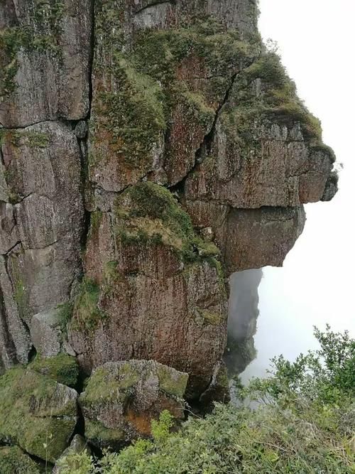 杂多县新增本土确诊22例,均在保亭黎族苗族自治县:杂多县宣传片