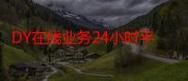 揭秘KS业务下单平台,秒到账与20赞的背后真相