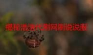 揭秘ks代刷平台,影响行业生态的双刃剑