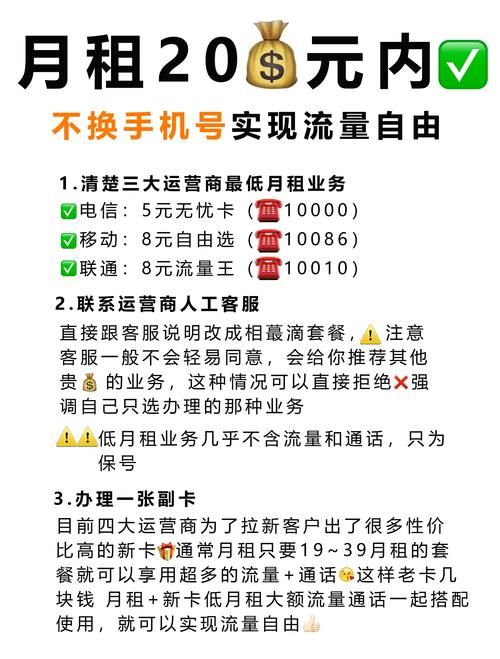 解密抖音业务自助网,如何免费获取资源与流量