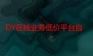 dy低价下单-了解平台
