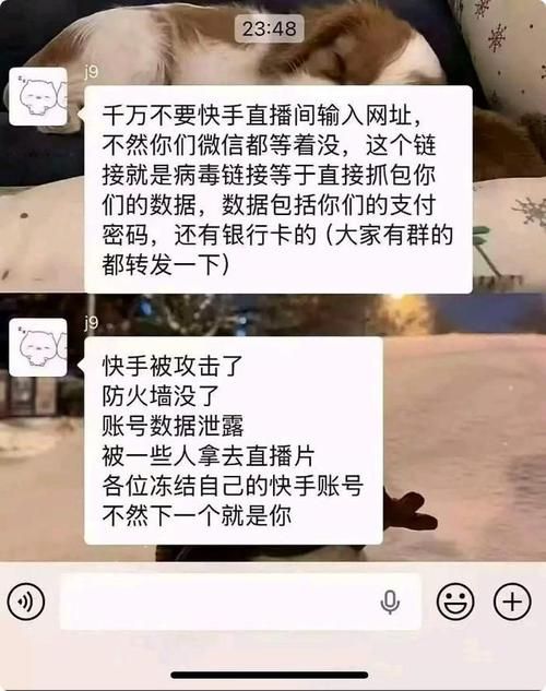 抖音快手双击播放量网站现象,数字背后的真实与虚假