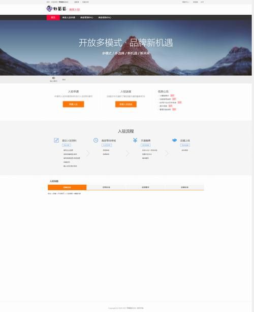 探索抖音点赞背后的专业服务,性价比与风险并存