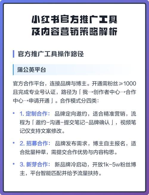 揭秘自助粉丝平台,如何最大化利用这一营销工具