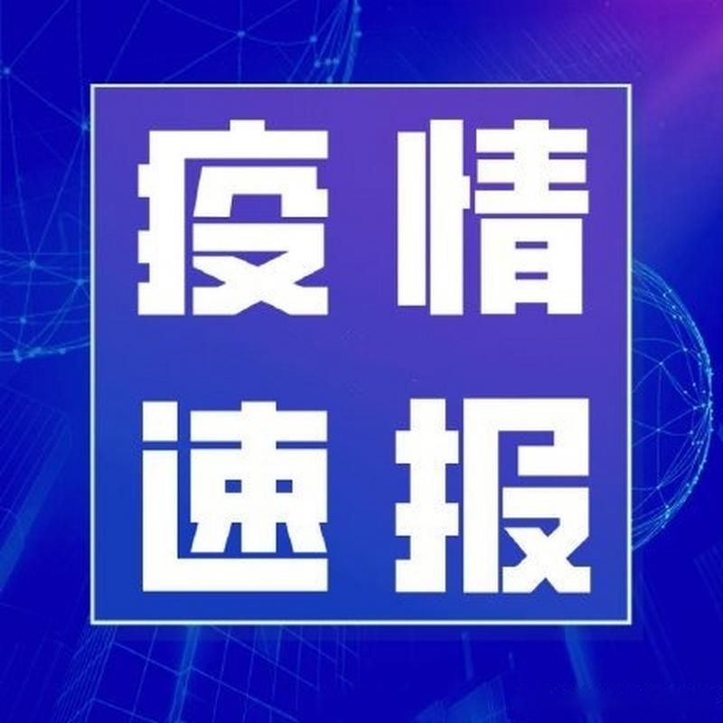 巴东县新增本土确诊12例，均在黄石港区/巴东疫情防控指挥部通告