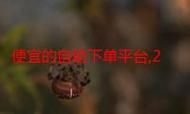 Ks24小时秒单业务平台:一分钟带你秒懂