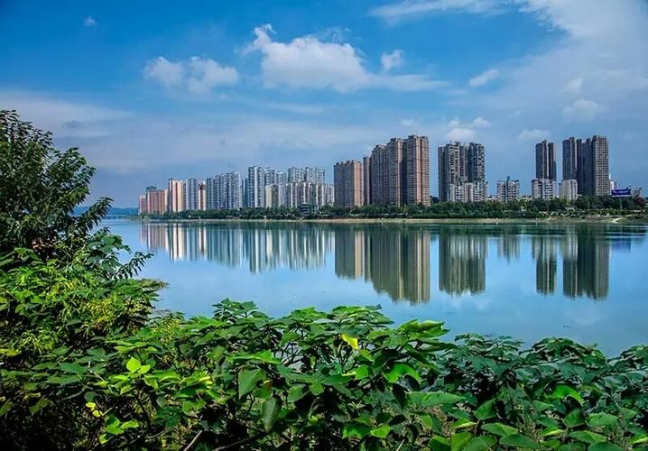 四川省乐山市市中区最新曲线图表:寻找同轨迹人员_乐山区域