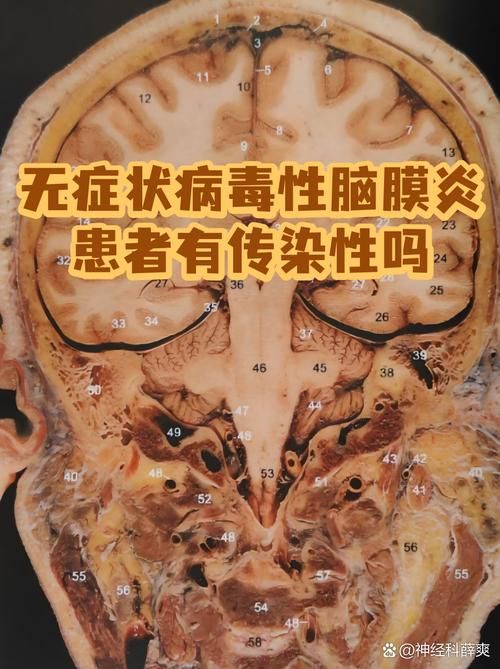  四川省无症状感染者已反弹16地:四川无症状感染者轨迹