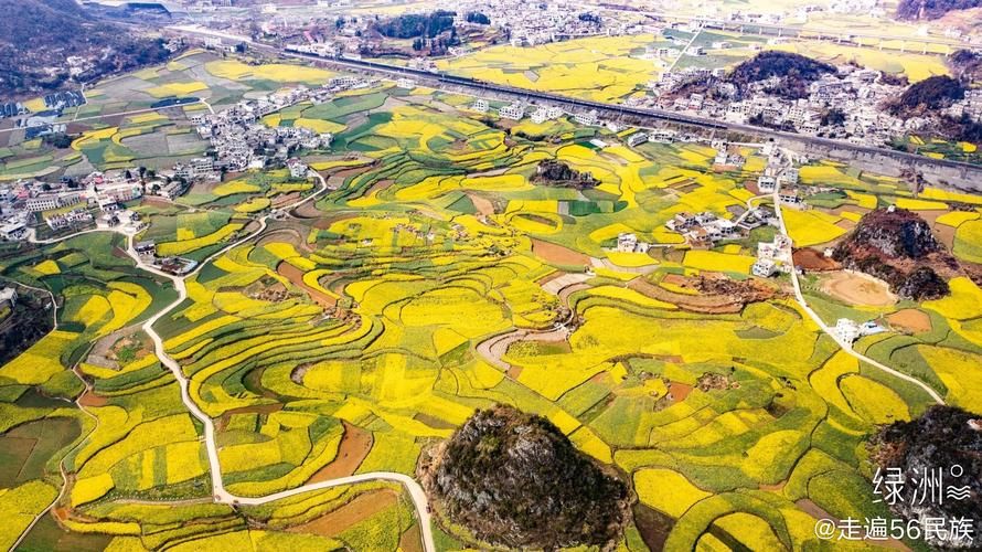 包含贵州省六盘水市六枝特区新增26例本土确诊,涉及广西壮族自治区柳州柳南区的词条