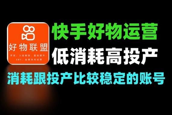 快手低价推广利器-(运营)其实确实有业务