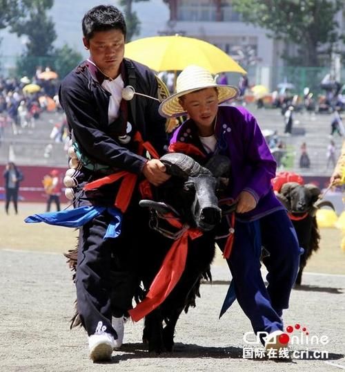 【四川凉山彝族自治州布拖县最新数据播报：寻找同轨迹人员,四川凉山布拖新闻】