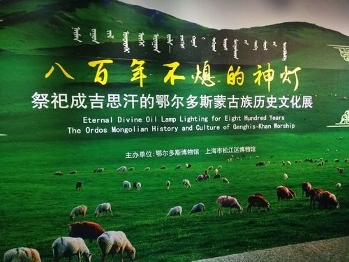 警方通报准格尔旗疫情最新情况(准格尔旗宣传片)