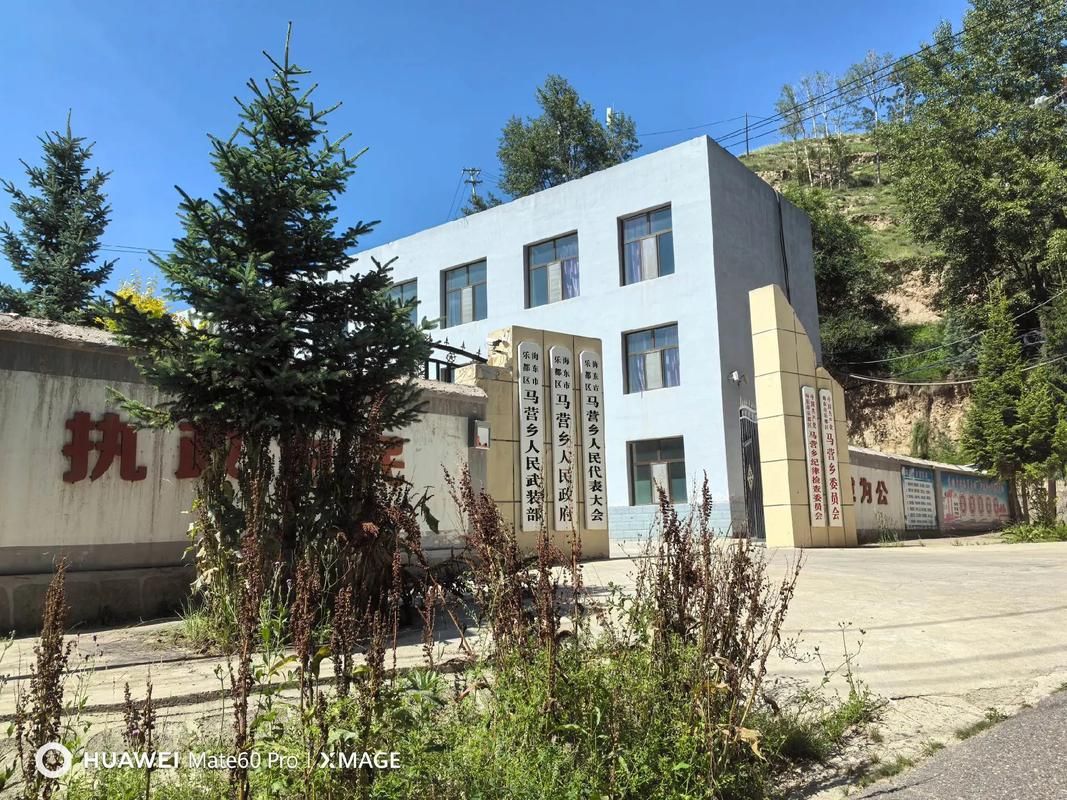 青海省海东市乐都区新增24例重症，涉及山西晋中祁县/青海海东市乐都区疫情