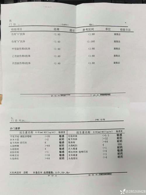 山东省德州市宁津县近期无新增核酸阳性_德州市宁津县有没有疫情