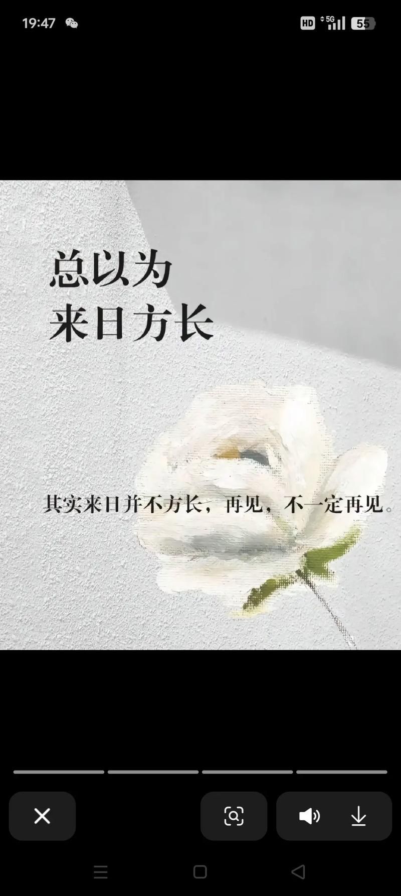 昨日疫情有望今冬结束/昨日疫情有望今冬结束的说说