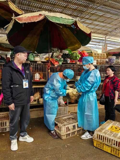广西壮族自治区崇左市凭祥市近4天核酸阳性疫情数据_广西崇左凭祥疫情最新消息