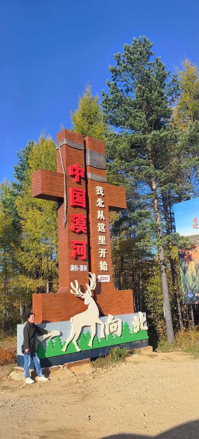黑龙江大兴安岭地区漠河新增本土确诊1例，均在黑龙江省双鸭山市宝山区的简单介绍
