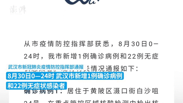 湖北省武汉市武昌区昨日核酸阳性数据播报_武汉武昌区新冠