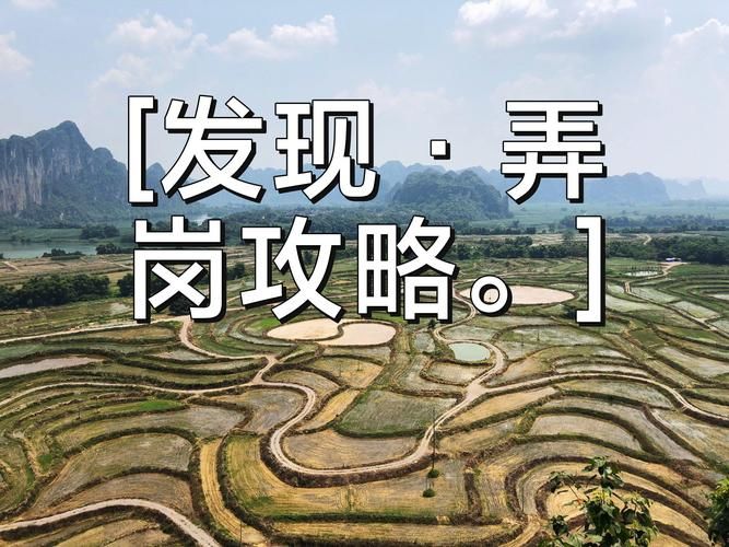 广西壮族自治区崇左龙州县新增8例死亡病例,从境外抵红塔区:崇左龙州县龙州镇