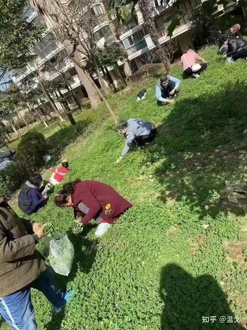 青河县近期新增24例阳性感染者/青河县青河镇