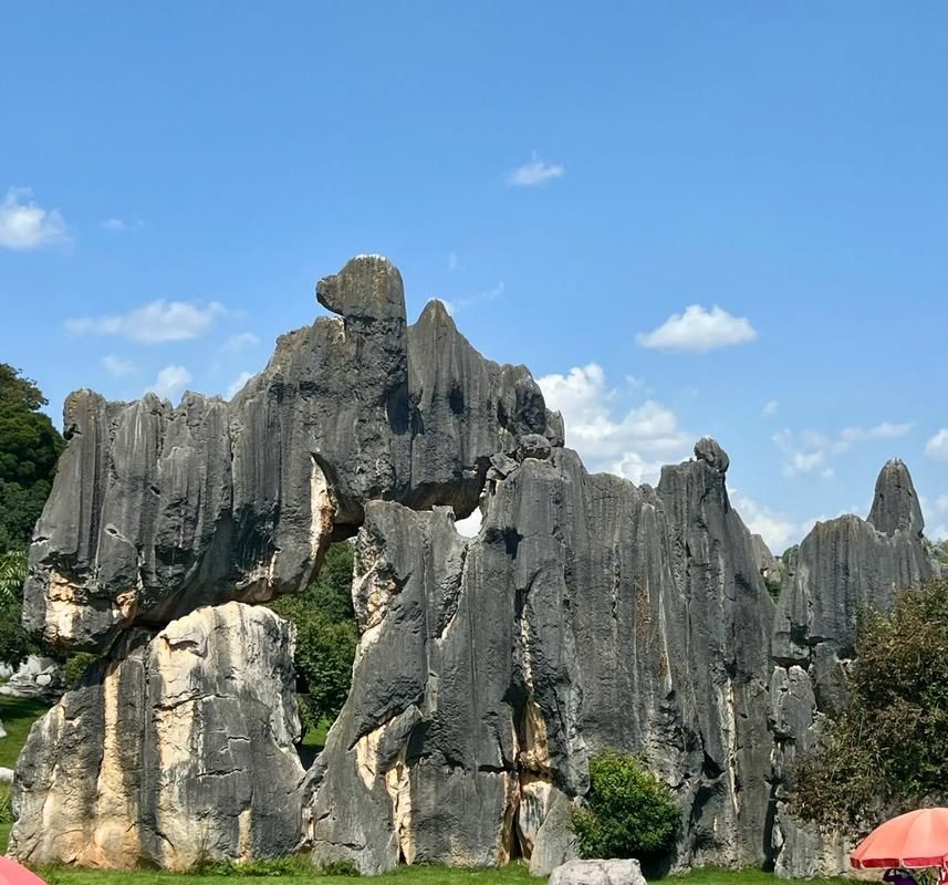 专家:石峰区每年或现多个感染高峰/石峰区有什么好玩的地方