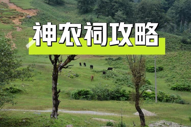  双江拉祜族佤族布朗族傣族自治县今日新增21例涉3省输入病例:双江拉祜族旅游景点