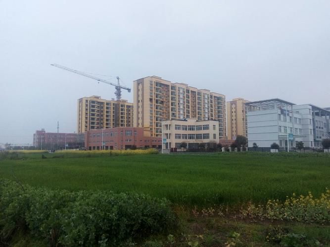 湖北省荆州市洪湖市近3天新增感染趋势结束:荆州洪湖新闻