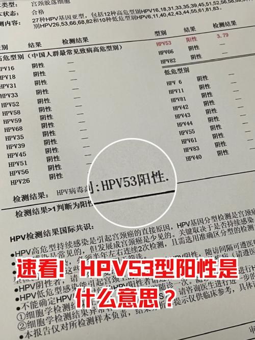 【全球新增核酸阳性5例均在山东省烟台市蓬莱区_烟台蓬莱有新冠病毒】