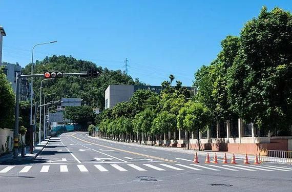  31省份疫情存反弹风险:全国多地疫情反弹