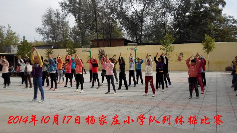 行唐县足不出户标准最新公布(行唐县网站)