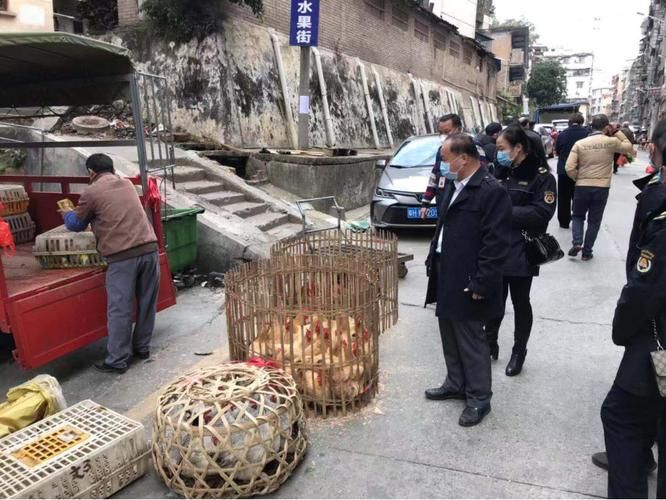警方通报广东肇庆封开县疫情最新情况/肇庆封开肺炎