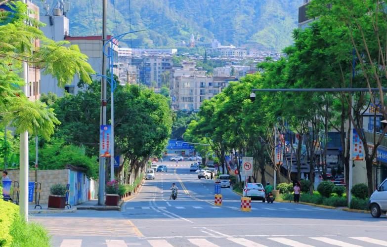 专家:四川省攀枝花市西区每年或现多个感染高峰_攀枝花市西区疫情最新进展