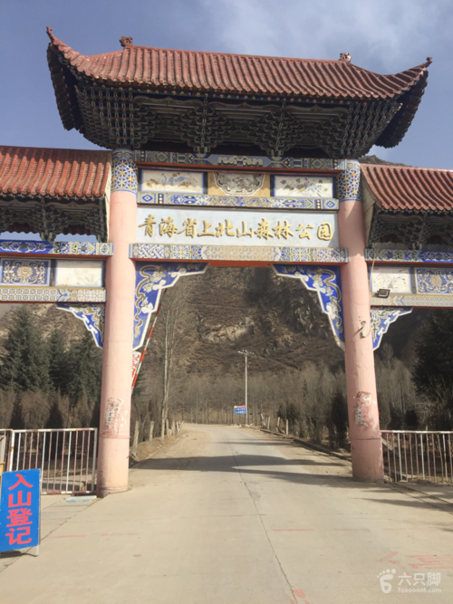 乐都区解封标准最新公布(乐都封路了吗)