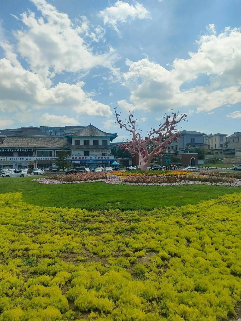 专家:吉林省延边朝鲜族自治州延吉市每年或现多个感染高峰_延吉市新增