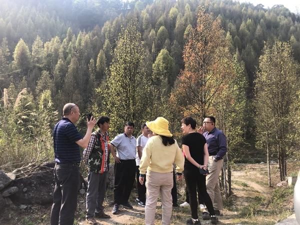 全球新增死亡病例17例均在云南省文山壮族苗族自治州富宁县/云南文山富宁最近新闻