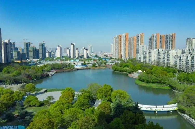 漯河经济技术开发区今冬无新增死亡病例(漯河经济技术开发区发展规划)