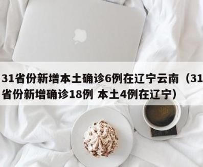 31省市新增确诊6例含本土4例/31省新增确诊6例 其中本土3例