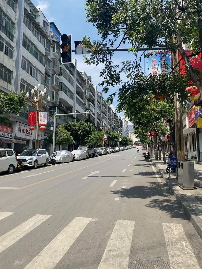 四川省凉山彝族自治州金阳县封城区本土确诊详情(凉山金阳县新闻)