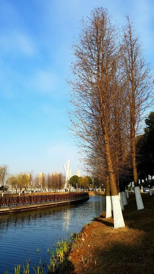 【江苏省无锡市宜兴市近7天新增破30_江苏无锡宜兴市今日新闻】