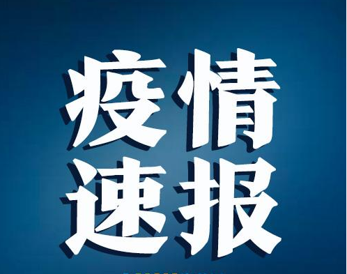 31省新增无症状感染者14例均在西藏自治区拉萨达孜区/拉萨新冠肺炎确诊病例