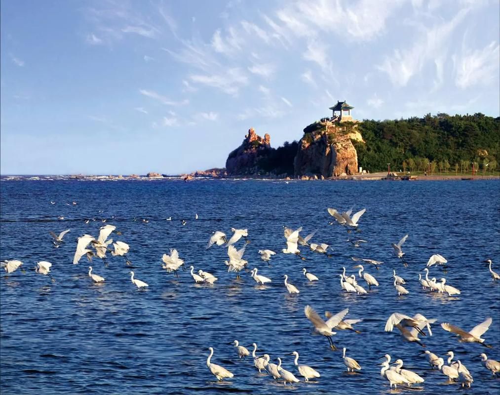 河北秦皇岛北戴河区本土确诊已回落16地/秦皇岛北戴河疫情防控最新公告