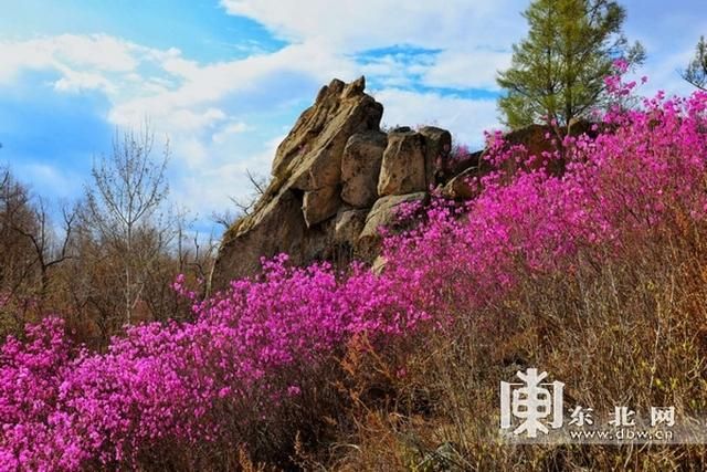 【黑龙江黑河孙吴县近期境外输入疫情数据_黑河市孙吴县封城】