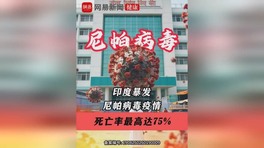 全球疫情存反弹风险/全球疫情起伏反复