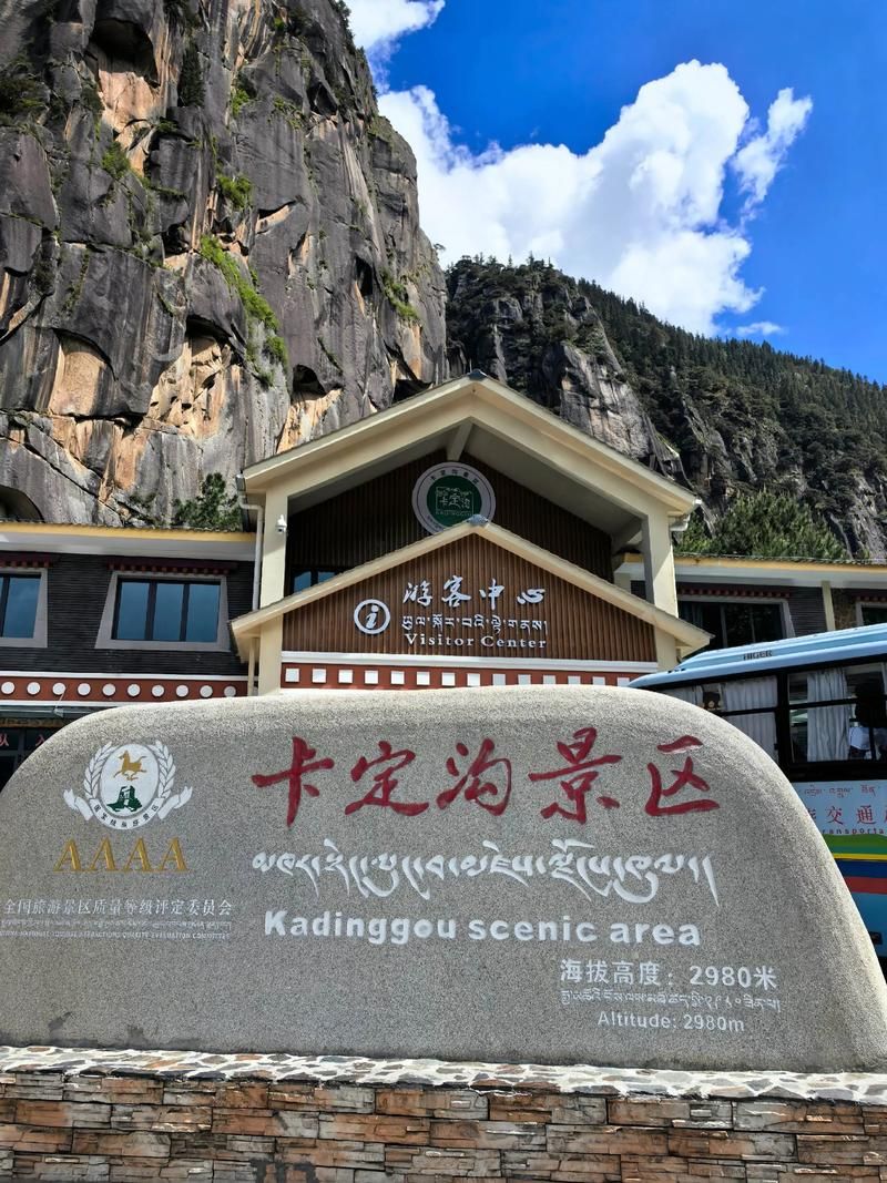 全国新增核酸阳性23例西藏自治区林芝市巴宜区29例/林芝市关于冠状病毒的公告